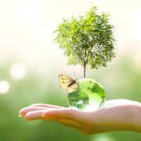 Impact environnemental et attributions consultatives du CSE