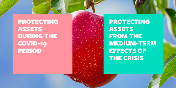 Protecting assets: