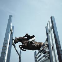 Droit équin, droit du sport et droit commun de la responsabilité :  les conditions de transfert de la garde d’un cheval 
