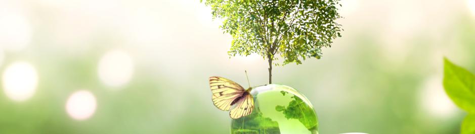 Impact environnemental et attributions consultatives du CSE
